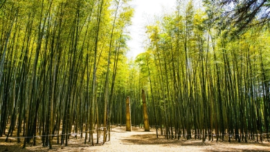 베스트 3선 이미지