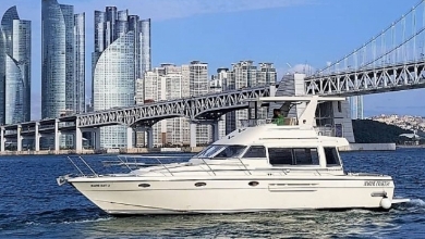 베스트 3선 이미지